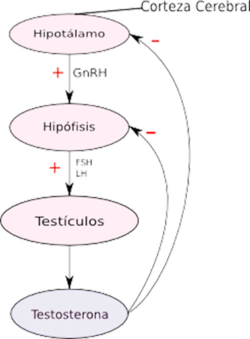 Clínica Fertilidad