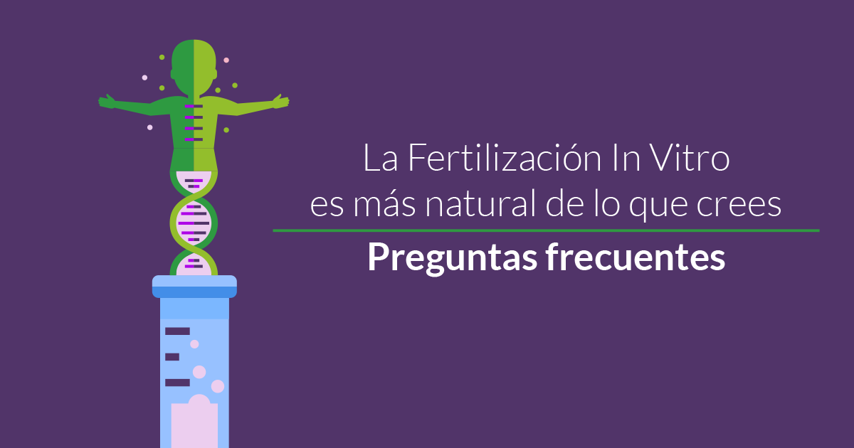 Fertilización In Vitro Fecundación