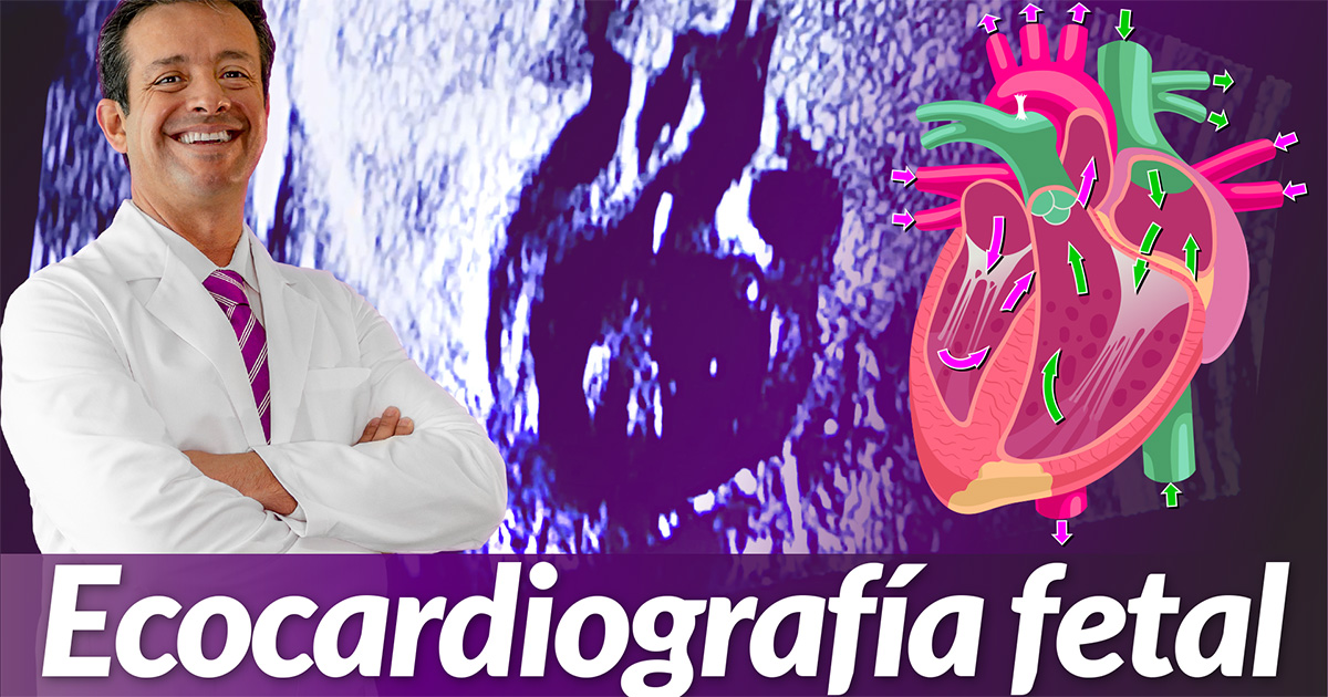 ecocardiografía fetal ecocardiograma ultrasonido del corazón