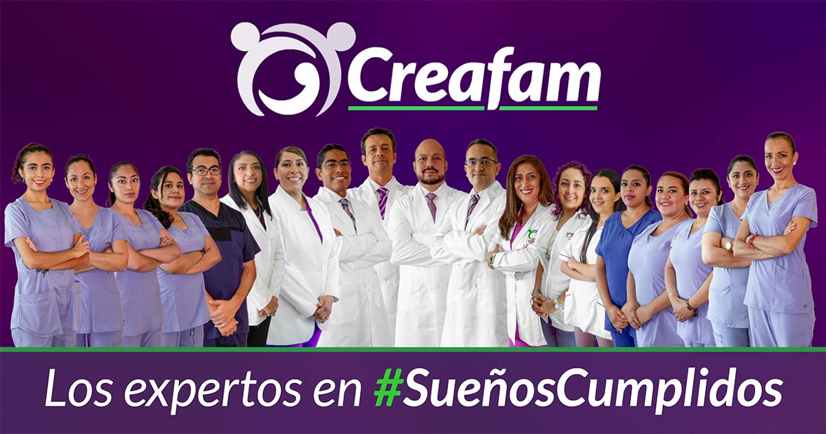 Creafam Fertilidad Obstetricia